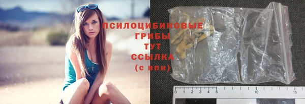 дживик Наволоки